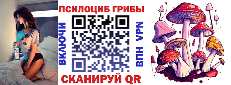 kraken как войти  Курск  Псилоцибиновые грибы MAGIC MUSHROOMS  где купить наркоту 